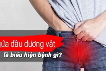 NGỨA BAO QUY ĐẦU LÀ BỆNH GÌ, NGUYÊN NHÂN VÀ CÁCH ĐIỀU TRỊ